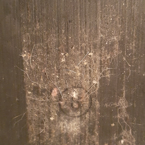 Shoes - Picture 2 of 2